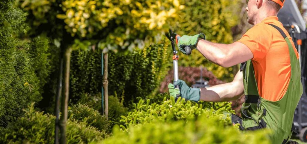 Ornamental Pruning in Cook County, IL