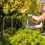 Ornamental Pruning in Cook County, IL