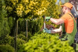 Ornamental Pruning in Cook County, IL